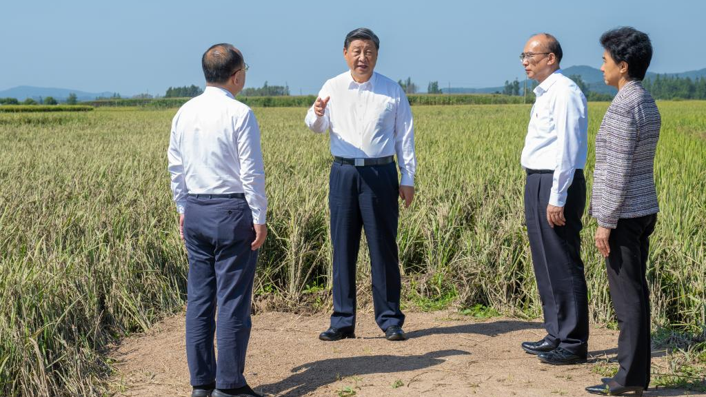 新葡京网址